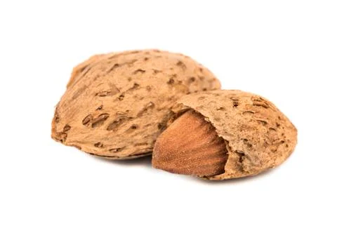 Almonds in shell Foto stock