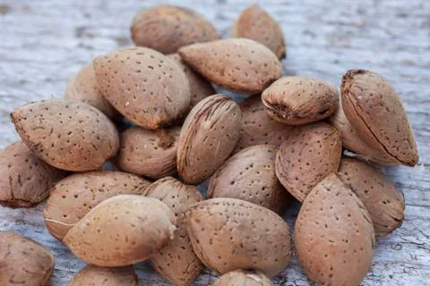 Almonds in shell on pile Stock Photos