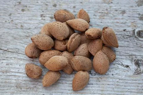 Almonds in shell on pile1 Stock Photos