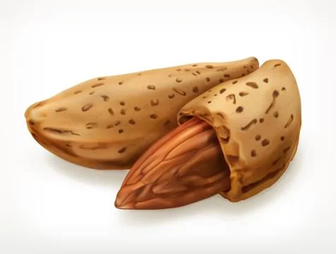 Almonds in shell, vector icon Stock Illustration