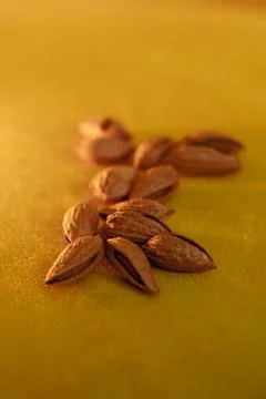 Almonds in shell on yellow background Stock Photos