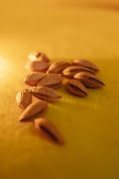 Almonds in shell on yellow background Stock Photos