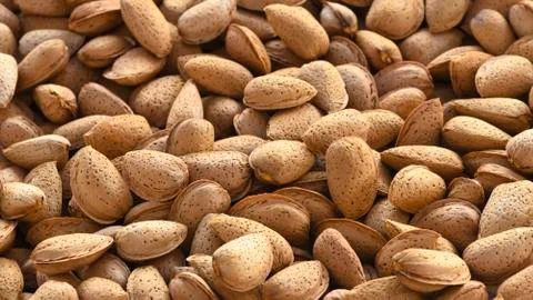 Almonds shelled Stock Photos