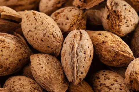 Almonds in shells closeup Stock Photos