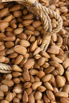 Almonds in shells Stock Photos