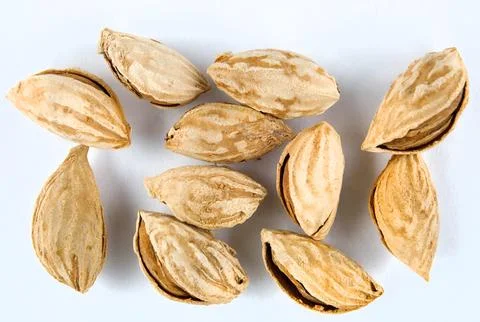 Almonds in shells on a white background Stock Photos