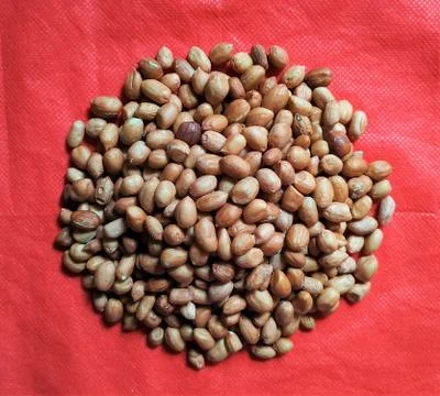 Almonds with space for text in red background Stock Photos