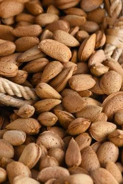 Almonds in their shells Stock Photos