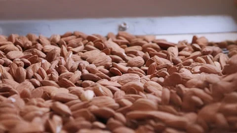 Almonds on a vibrating sorting machine in an industrial food processing facility Stock Footage 220583994