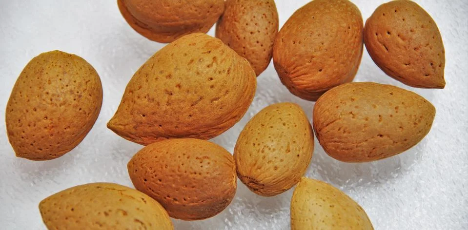 Almonds on white glass Stock Photos