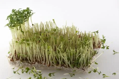 Almost done Stock Photos