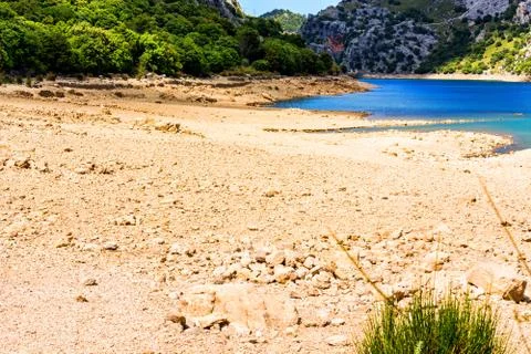 Almost dried-up river bed in the background the last water remains. Stock Photos