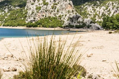 Almost dried-up river bed in the background the last water remains. Stock Photos
