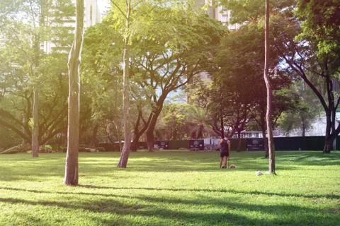 Almost empty Ayala triangle park where a guy walking dog Stock Photos