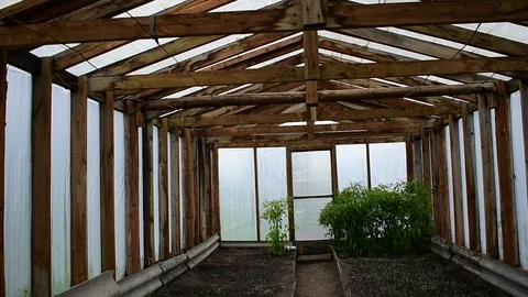 Almost empty greenhouse, interior Stock Footage 116809187