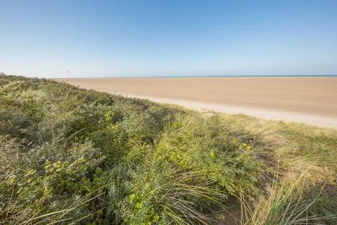 An almost empty immeasurable beach Stock Photos