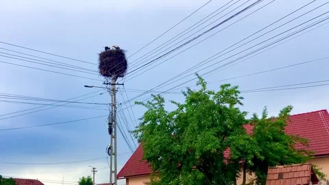 Almost every house has a stork nest on a pillar. Transylvania. Stock Footage 250854789