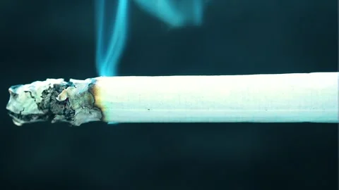 Almost full isolated burning tailor made cigarette placed across the whole Stock Footage 253138322