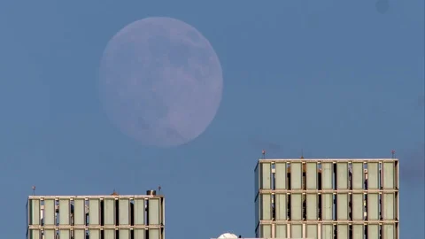 An almost full moon rises against a clear blue sky. Stock Footage 78808522