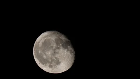  Almost full moon rises in the sky Stock Footage 98301594