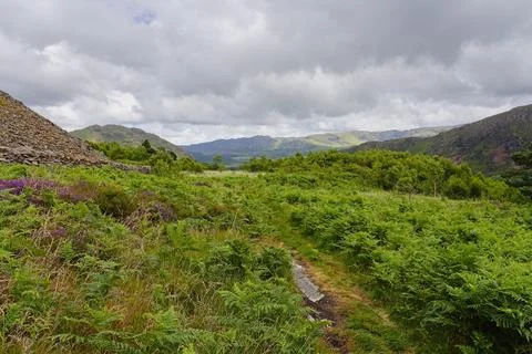 Almost invisible path bordered by bracken and heather In the hills above Be.. Stockfoto's