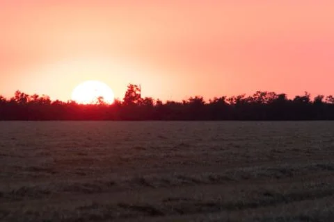 Almost set white sun over the horizon of different trees with a red sky and a Stock Photos