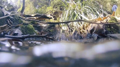 An almost underwater shot of the stream Video stock 103473216