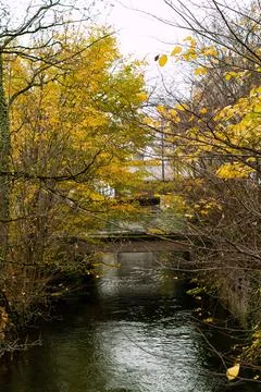 Almost yellow trees on the edges of the river in front of a small bridge in.. Foto stock