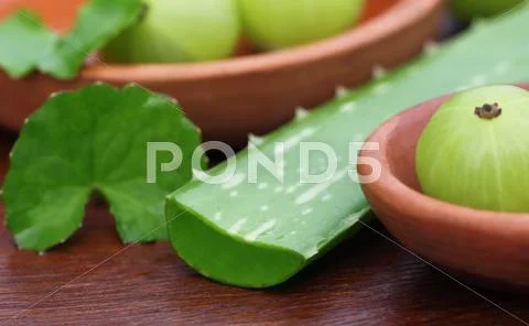 Aloe with amla and medicinal thankuni leaves Stock Photos
