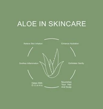 Aloe benefits Stock Illustration