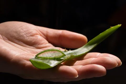 Aloe drops fall and moisturize the skin of female hands Stock Photos
