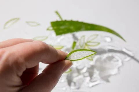 Aloe drops fall and moisturize the skin of female hands Stock Photos