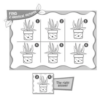 Aloe find  2 identical Stock Illustration