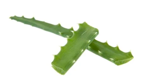 Aloe isolated on white background Stock Photos