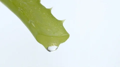 Aloe leaf with a drop of juice Stock Footage 124130483