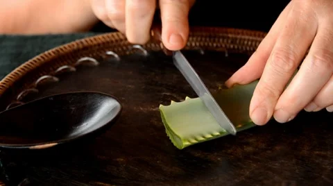 Aloe leaf Video stock 7133334