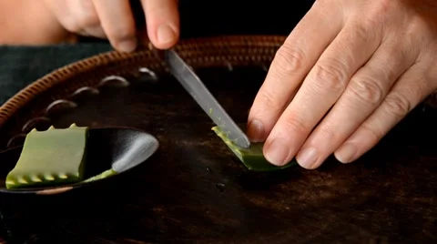 Aloe leaf Stock Footage 7133369