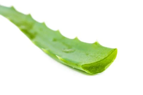 Aloe leaf Stock Photos