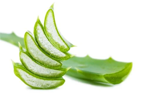 Aloe leaf Stock Photos
