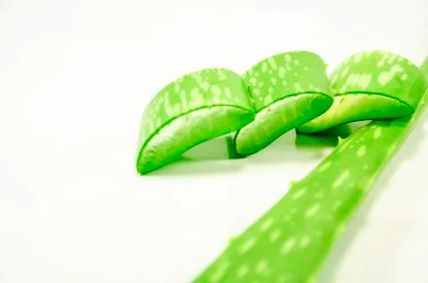 Aloe Stock Photos