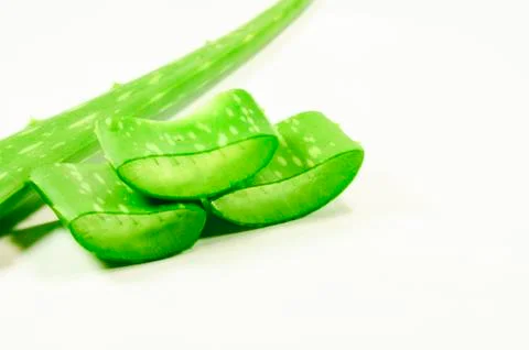 Aloe Stock Photos