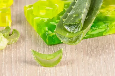 Aloe Stock Photos
