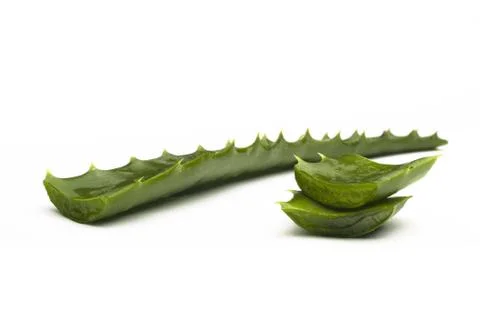 Aloe Stock Photos