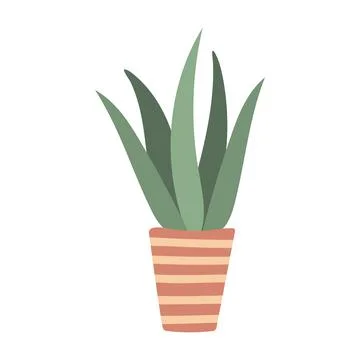 Aloe in pot isolated vector Stock Illustration
