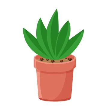 Aloe in pot isolated vector Stock Illustration