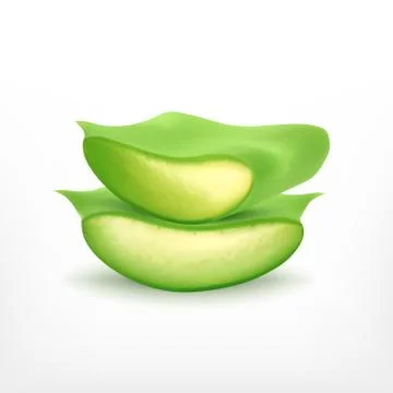 Aloe slice Stock Illustration