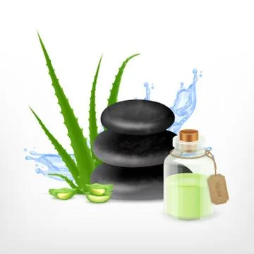Aloe with spa stone Stock Illustration