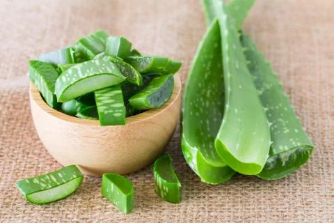 Aloe useful herb. Stock Photos