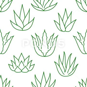 LUSH SUCCULENTS Wallpaper - Designer Collection - Wallpaper - Products