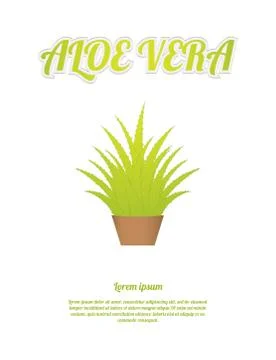 Aloe vera background Stock Illustration